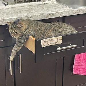 Meet your Posher, Carrie